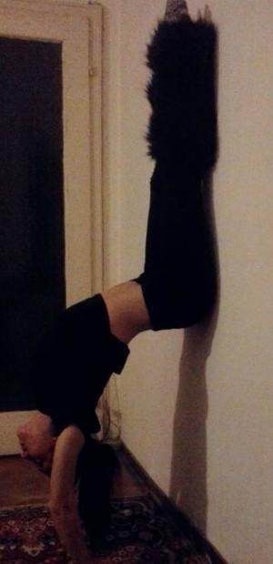 Emmalee (29) profile photo in High Ridge, MO